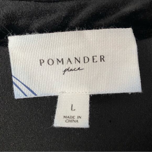 Pomander Place by Tuckernuck Kenzo Black Velvet Dress size large - Picture 13 of 13